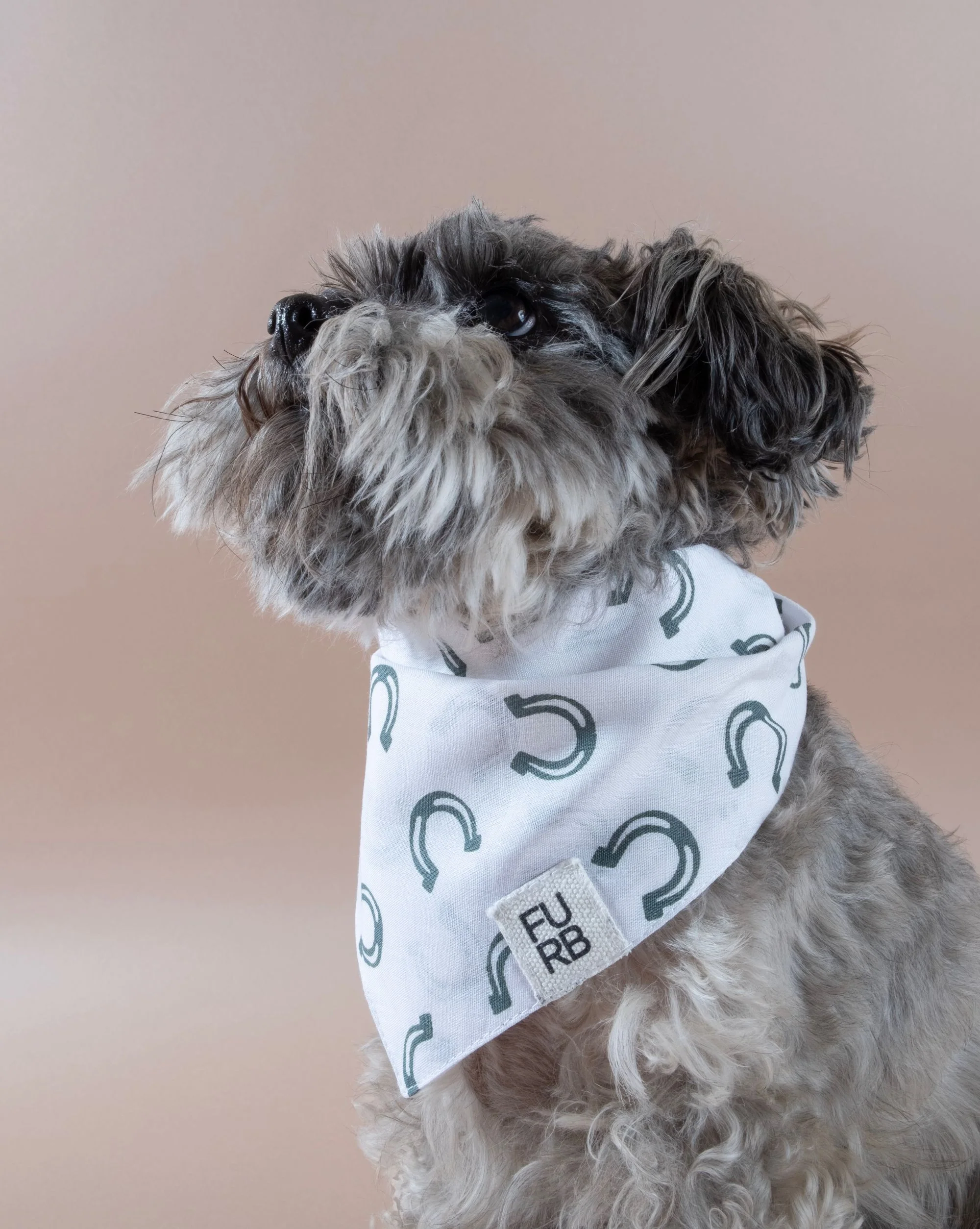 Lucky Pup Print Dog Bandana - Image 3