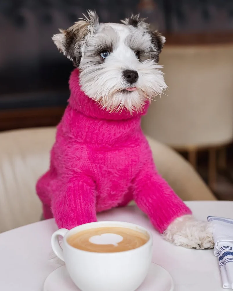 Bobbi Hot Pink Eyelash Knit Dog Sweater - Image 10