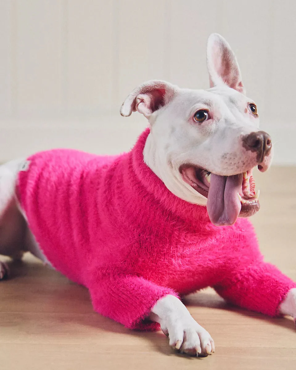 Bobbi Hot Pink Eyelash Knit Dog Sweater - Image 5