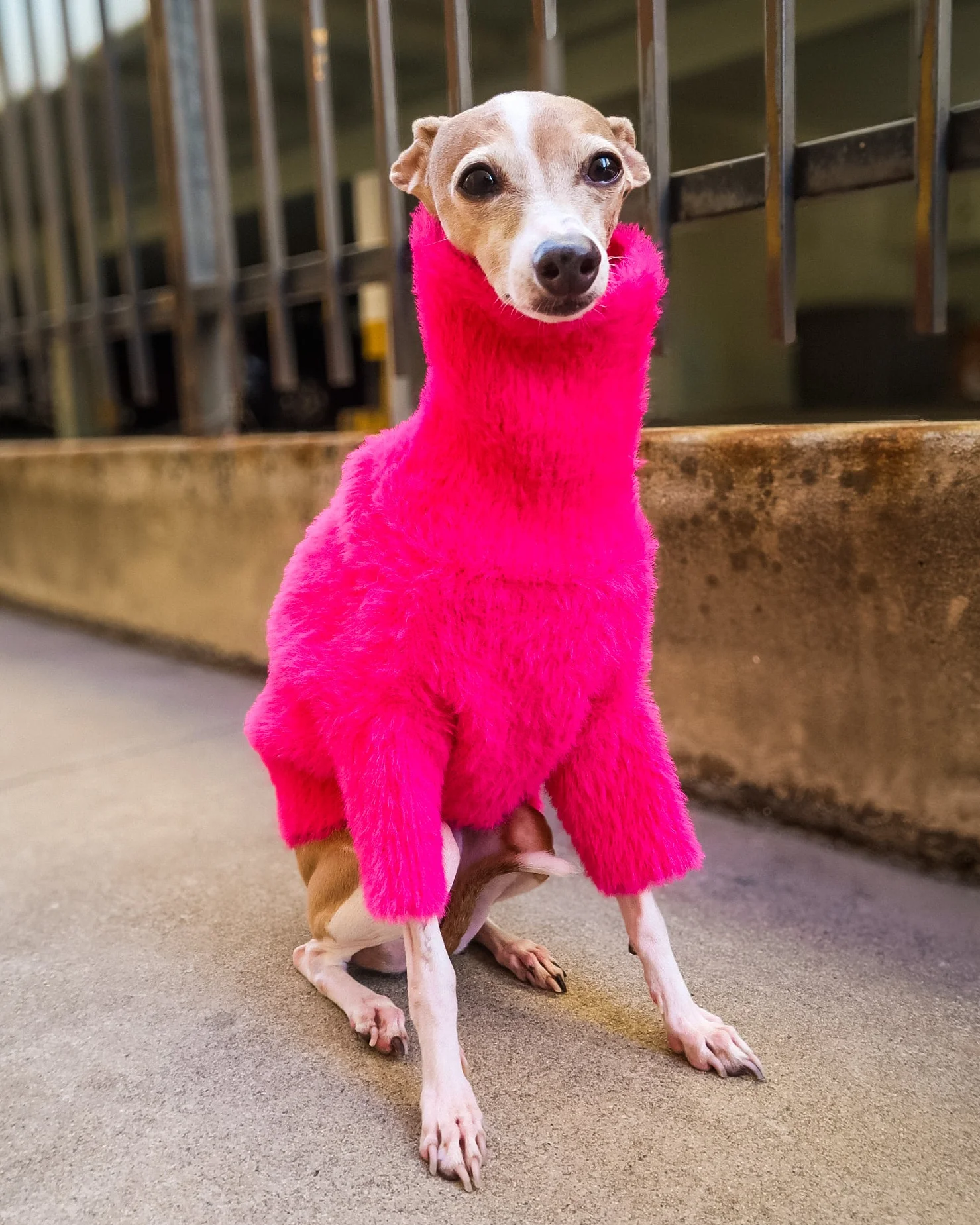 Bobbi Hot Pink Eyelash Knit Dog Sweater - Image 9