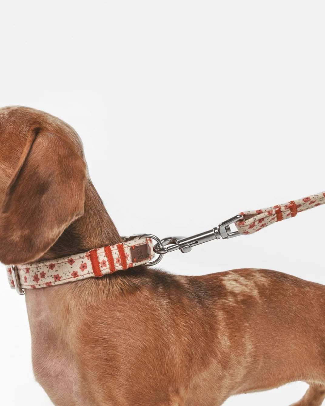 In Bloom Floral Dog Collar - Image 2