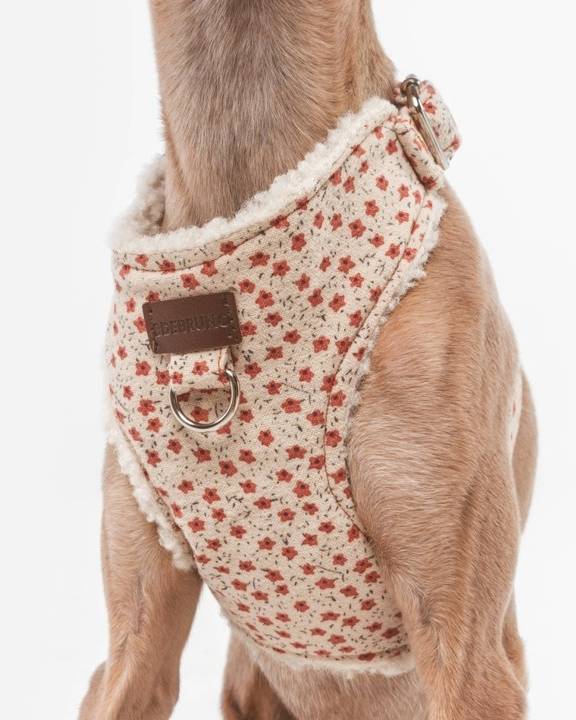 In Bloom Floral Dog Harness + Leash Walk Kit - Image 2