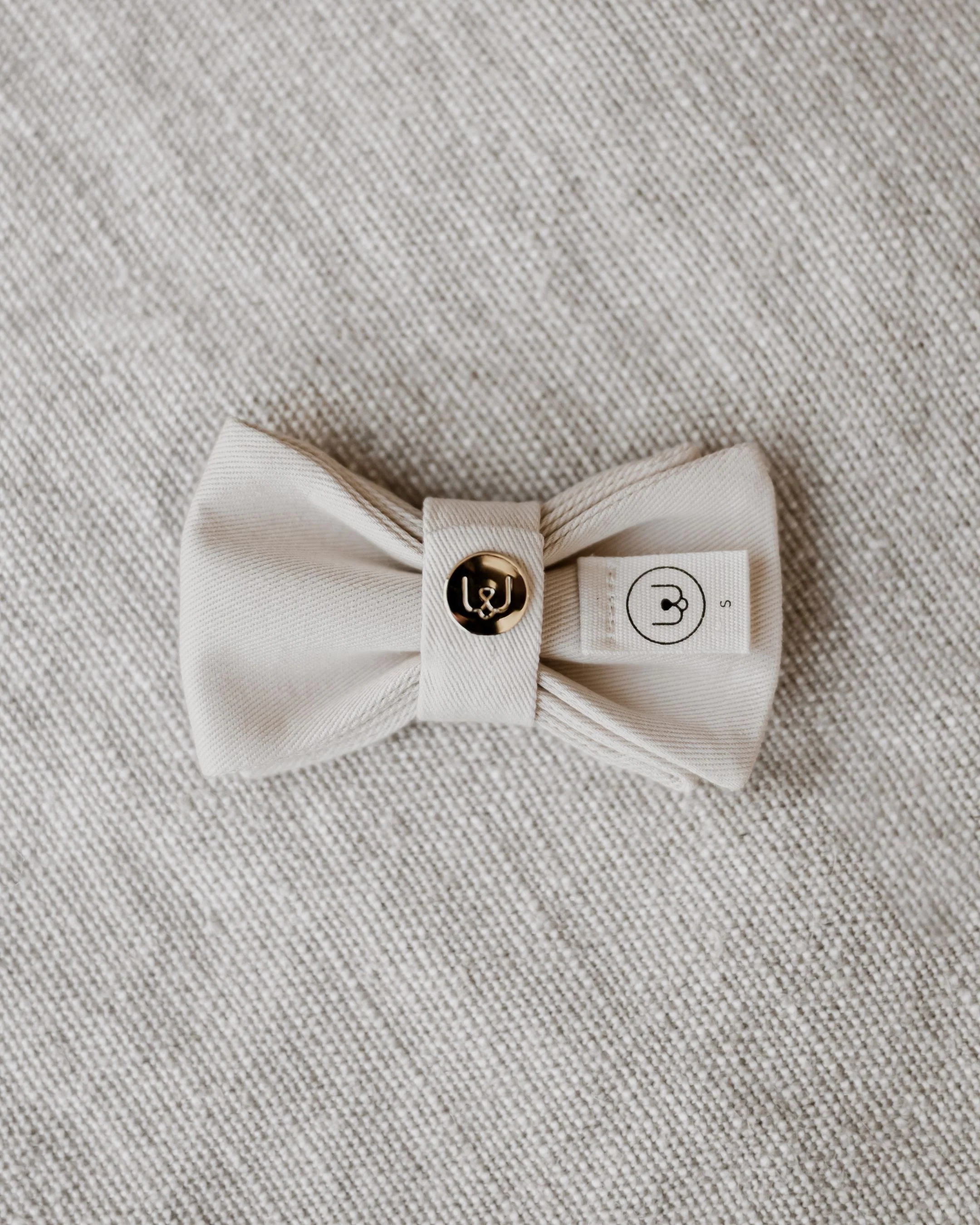 Walk of the Town Ivory Dog Bow Tie - Image 3