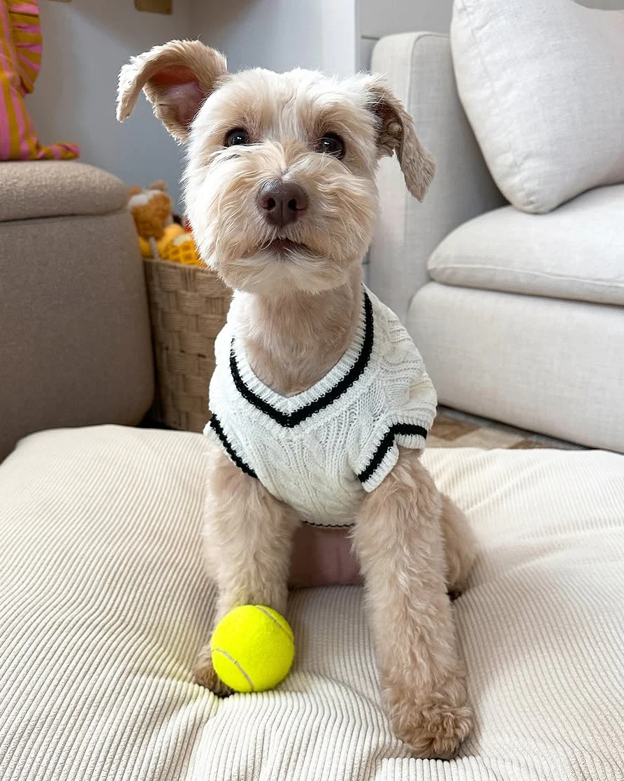 Forty Love Ivory Cable Knit Sweater - Image 10