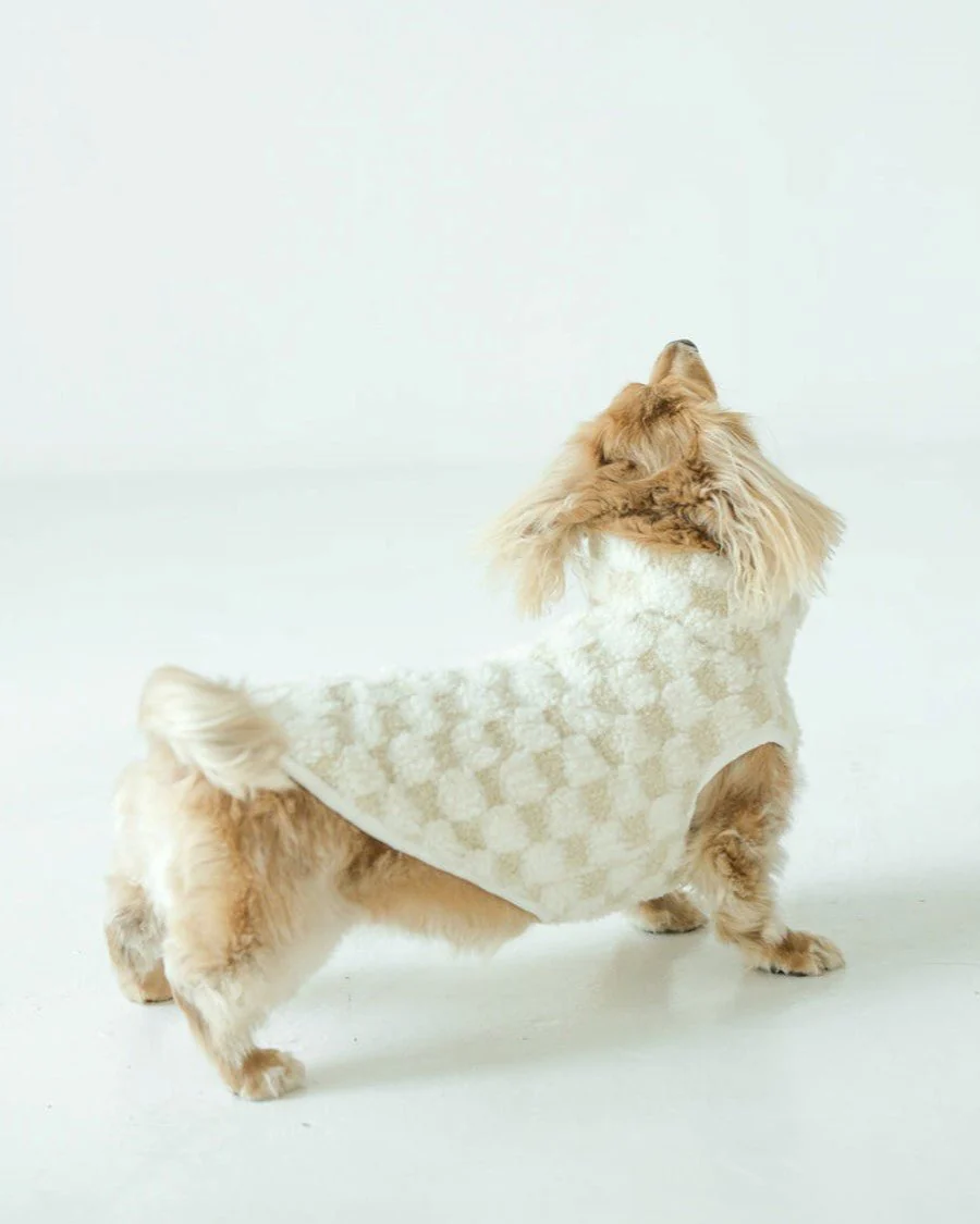 Check Please Ivory Vest - Image 2