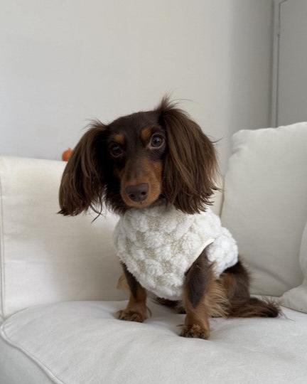 Check Please Ivory Vest - Image 3