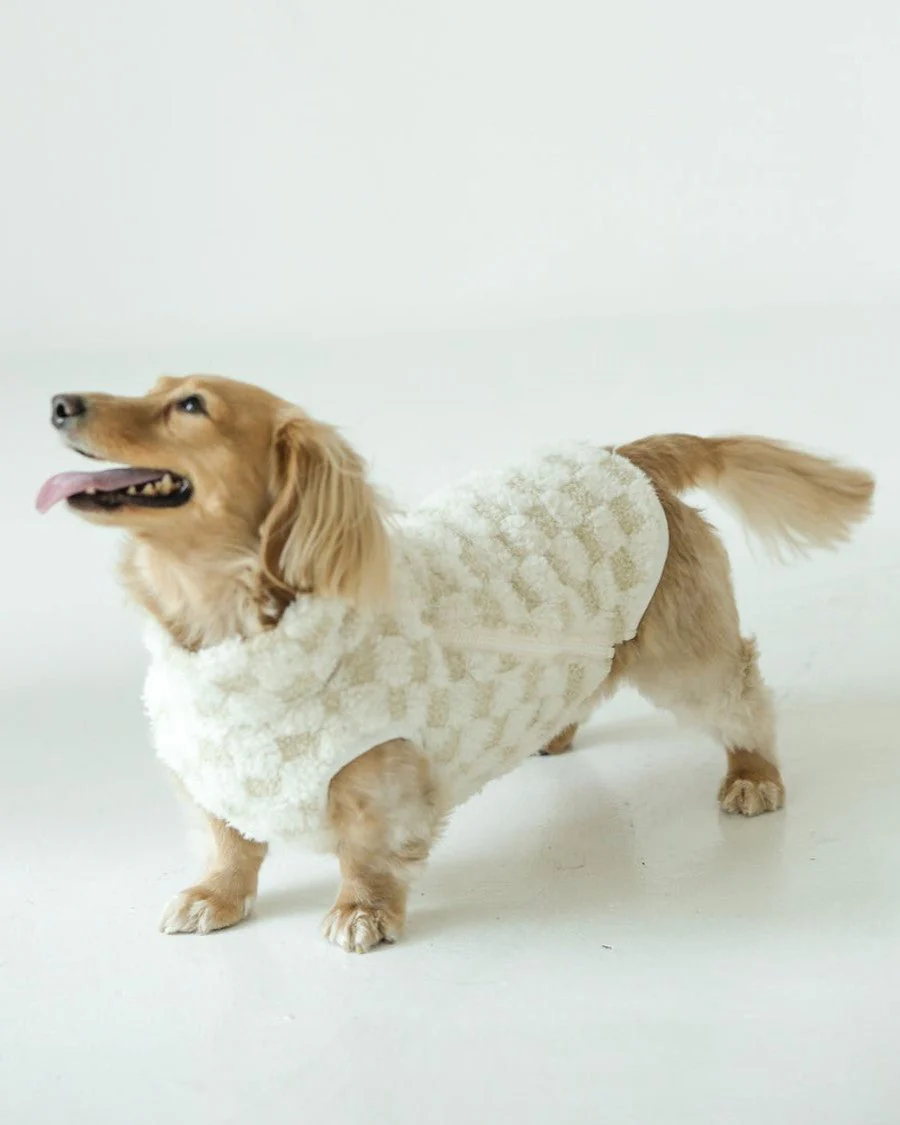 Check Please Ivory Vest - Image 4