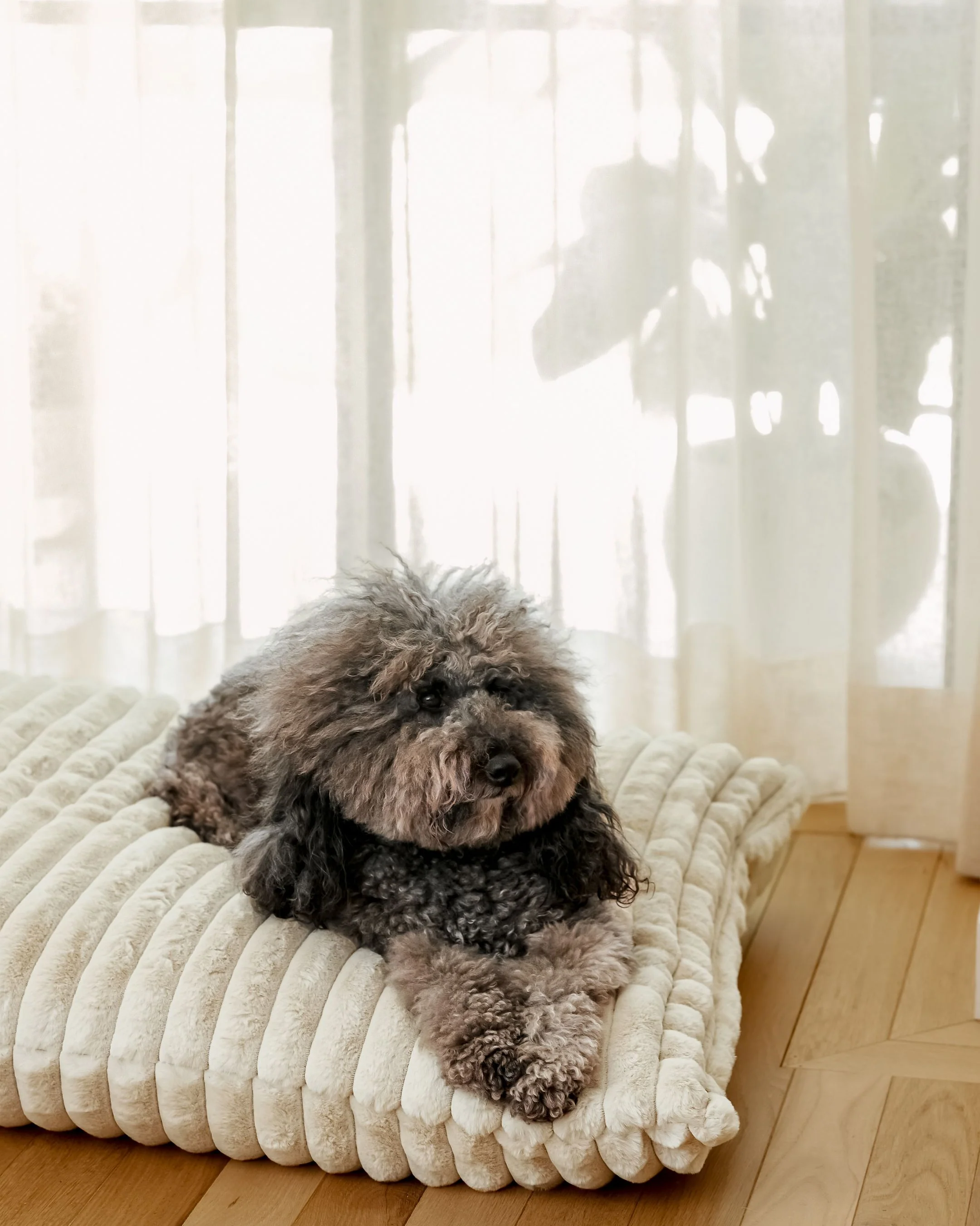 Coronado Ivory Faux Fur Dog Bed - Image 5