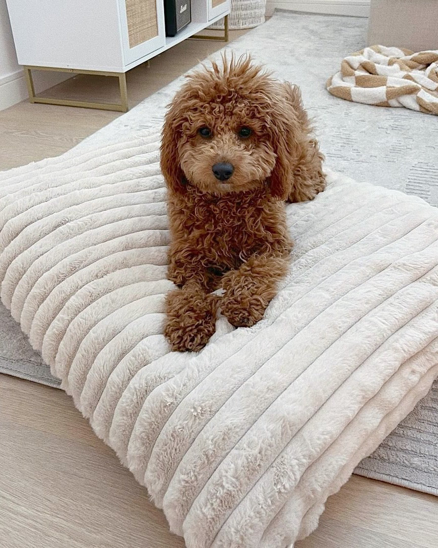 Coronado Ivory Faux Fur Dog Bed - Image 7