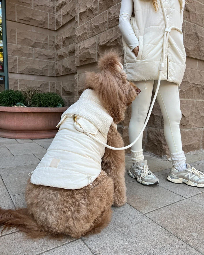 Sunday Stroll Hands-Free Ivory Dog Leash - Image 2