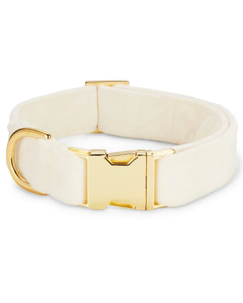 Trés Chic Ivory Velvet Dog Collar