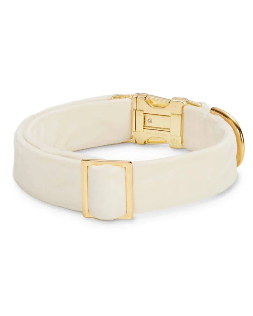 Trés Chic Ivory Velvet Dog Collar - Image 3
