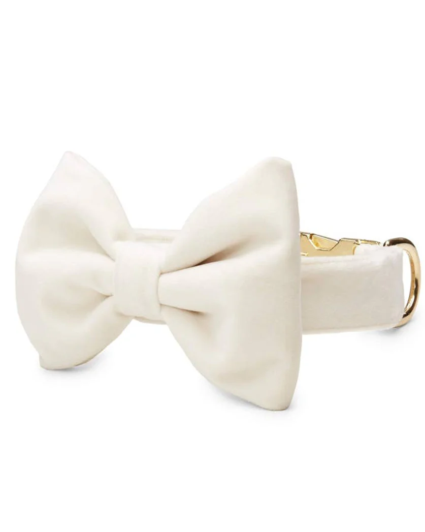 Trés Chic Ivory Velvet Bow Tie - Image 3