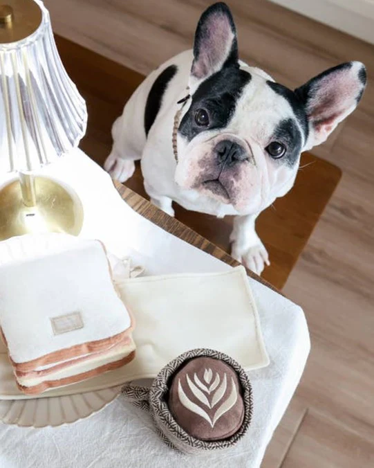 Latte Dog Toy - Image 4