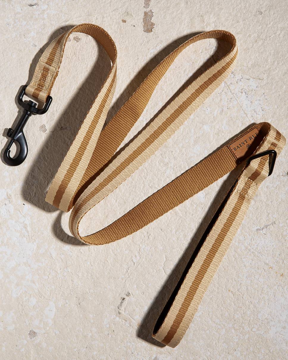 Le Classic Dog Leash in Rue de Rivoli
