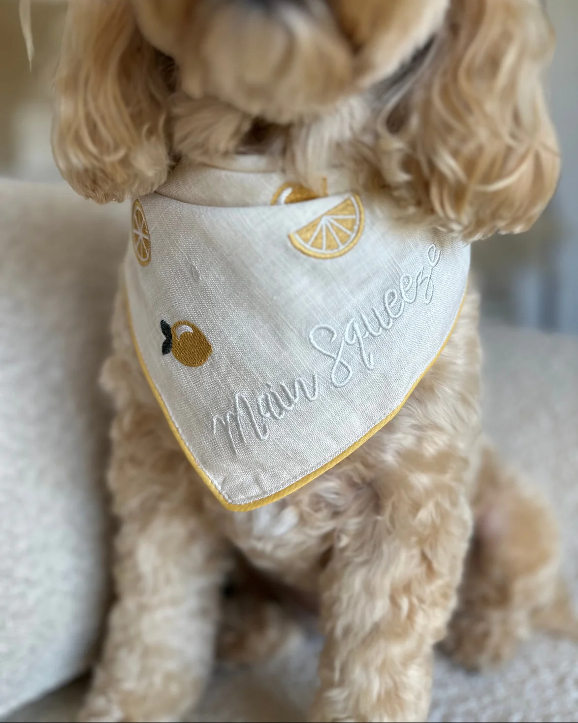 Main Squeeze Lemon Dog Bandana
