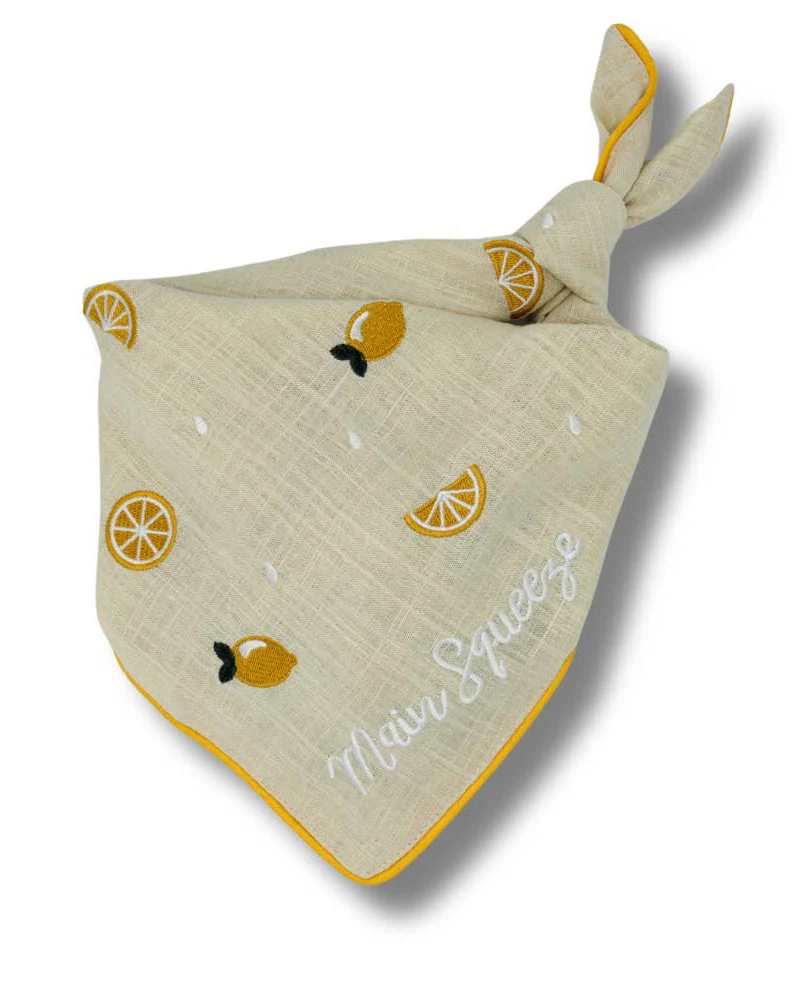 Main Squeeze Lemon Dog Bandana - Image 2