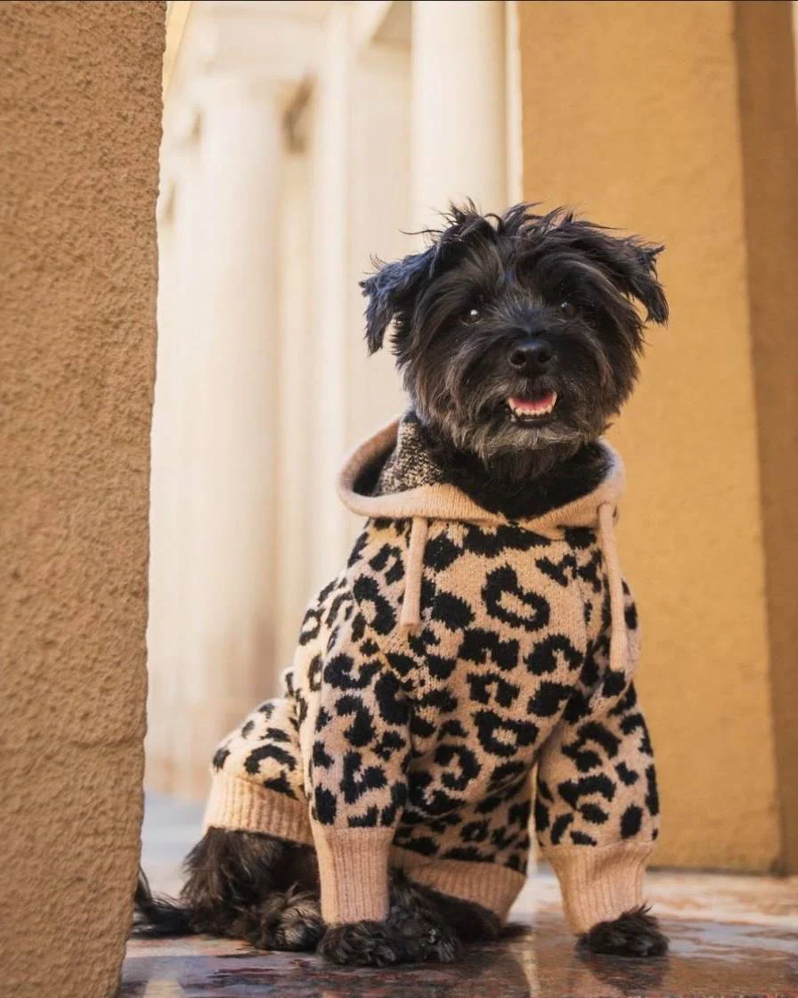Milan Leopard Print Dog Hoodie - Image 5