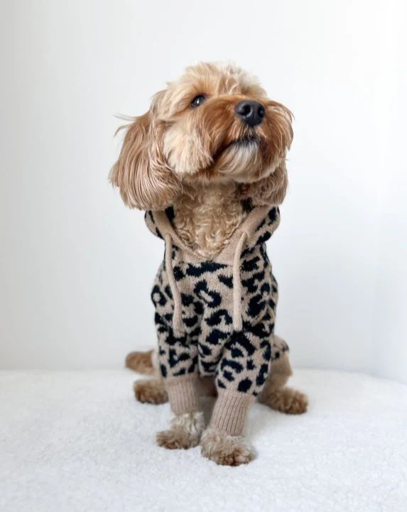 Milan Leopard Print Dog Hoodie - Image 8