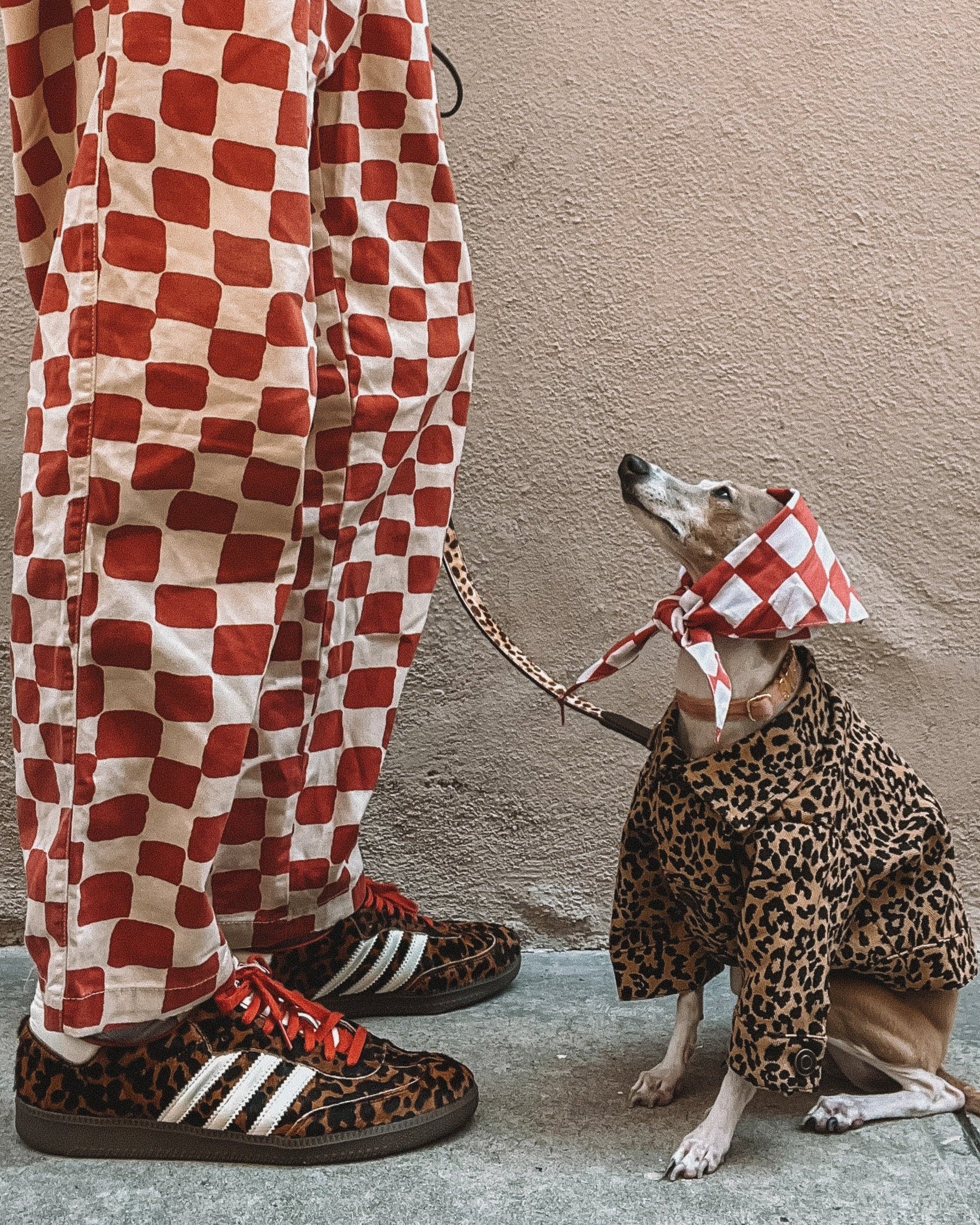 Ozzie Leopard Denim Dog Jacket - Image 4