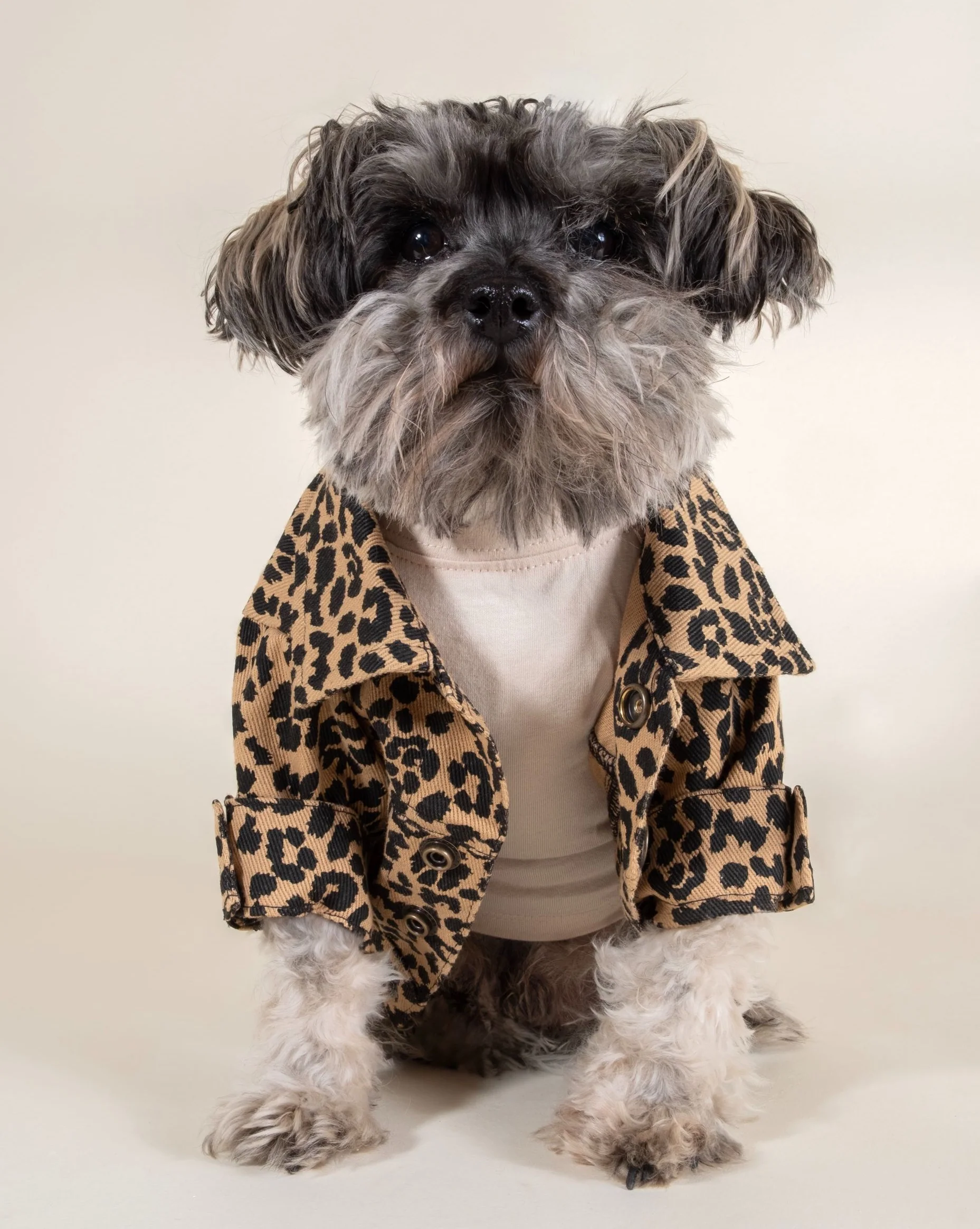 Ozzie Leopard Denim Dog Jacket - Image 7