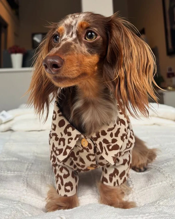 Walk on the Wild Side Leopard Button-Up - Image 3