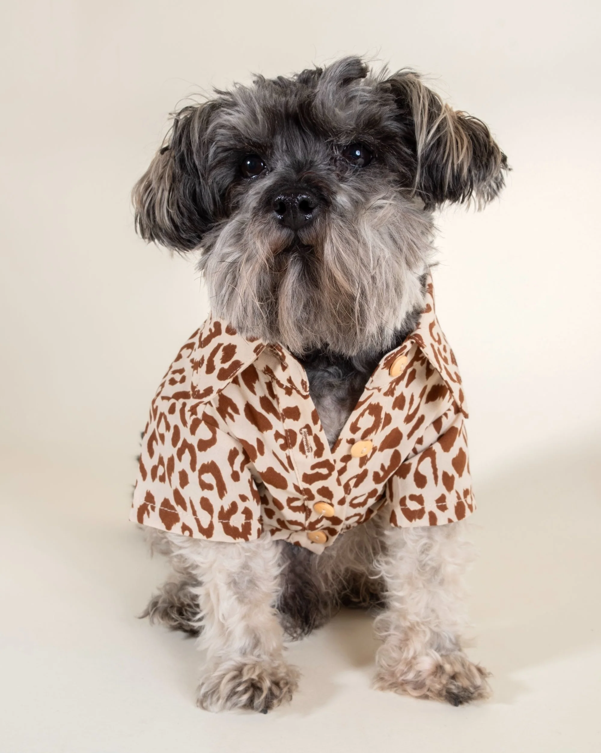 Walk on the Wild Side Leopard Button-Up - Image 7