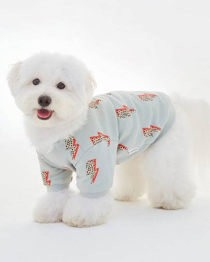Strike a Pose Dog Sweatshirt