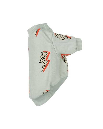 Strike a Pose Dog Sweatshirt - Image 3