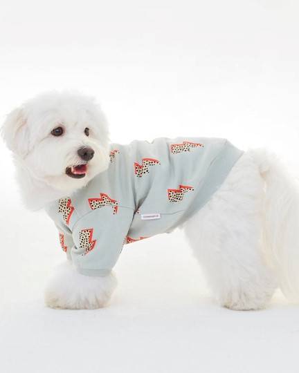 Strike a Pose Dog Sweatshirt - Image 4
