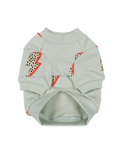 Strike a Pose Dog Sweatshirt - Image 5