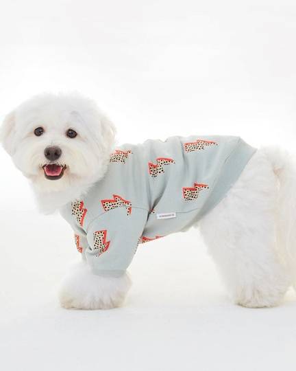 Strike a Pose Dog Sweatshirt - Image 6