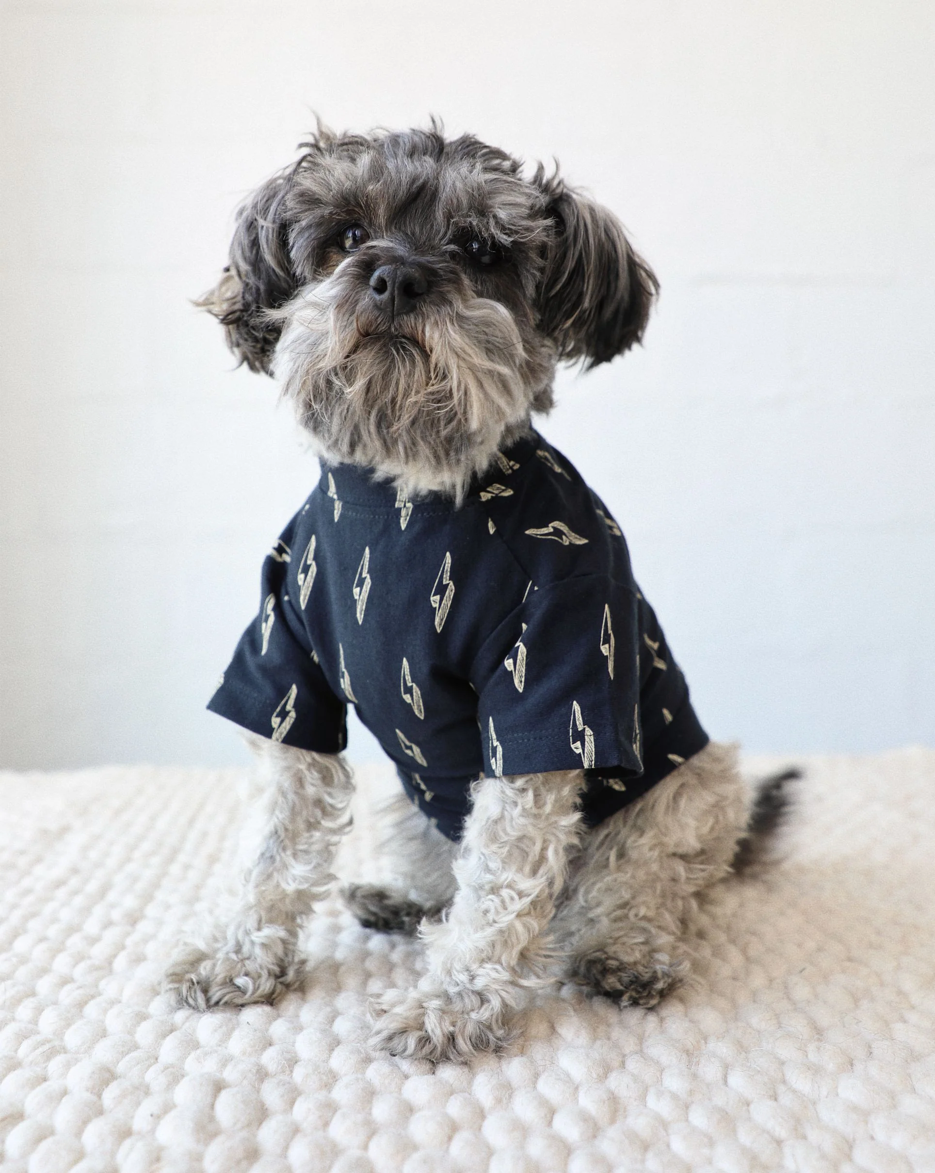 Strike a Pose Lightning Bolt Dog T-Shirt - Image 2
