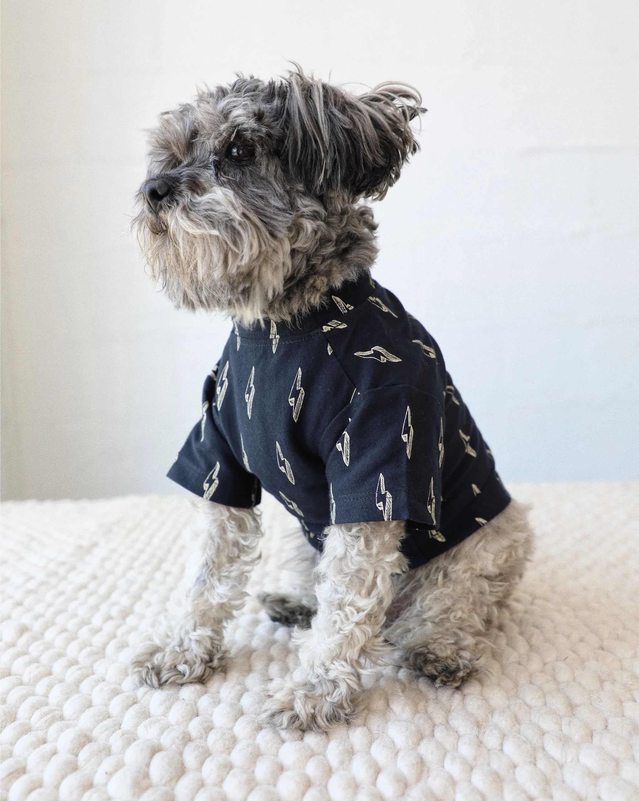 Strike a Pose Lightning Bolt Dog T-Shirt - Image 4