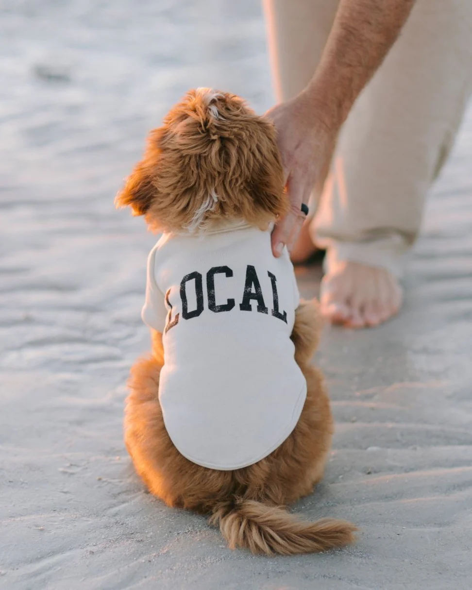 Local Legend Ivory Dog Sweatshirt - Image 6