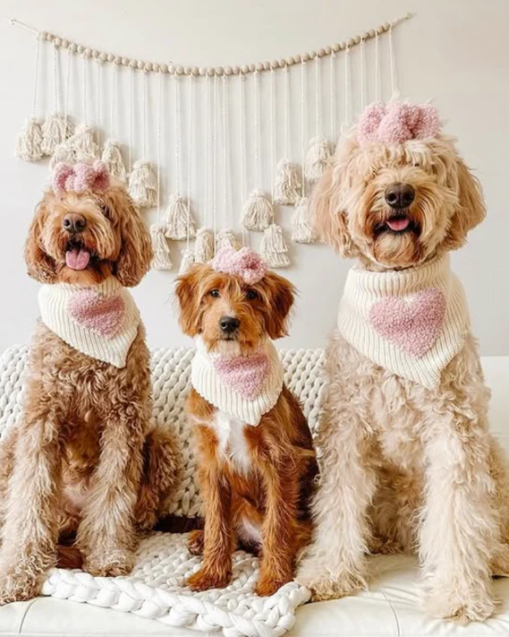 Sweet Love Bandana - Image 2