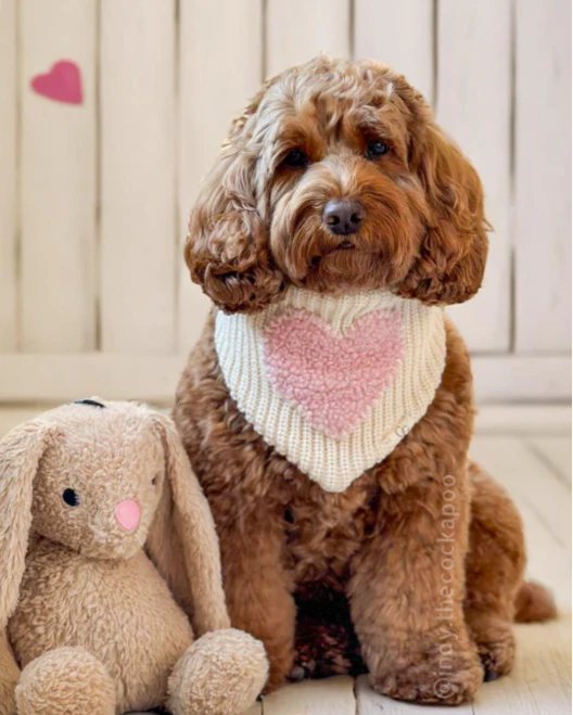 Sweet Love Bandana - Image 4