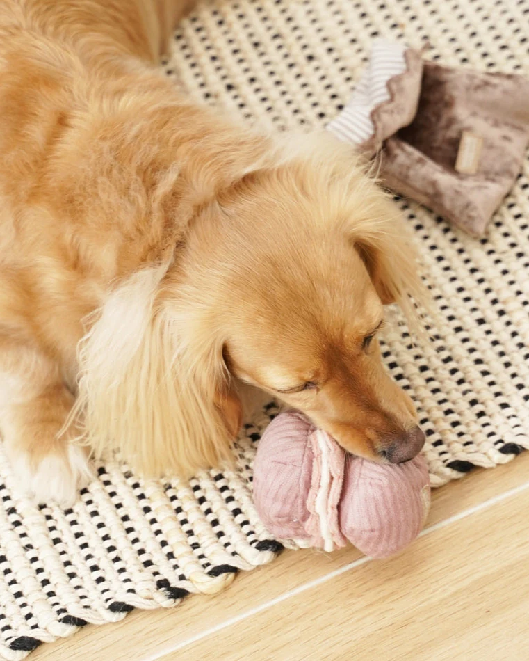 Petit Paws Pastry Duo Dog Toy - Image 4