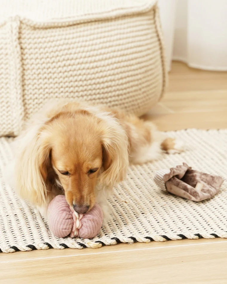Petit Paws Pastry Duo Dog Toy - Image 7