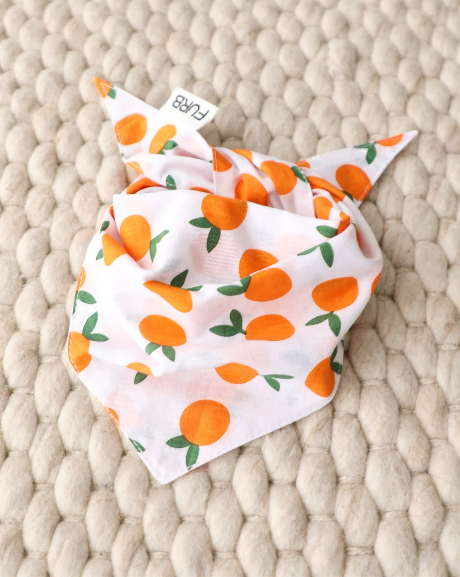 Main Squeeze Pup Dog Bandana - Image 2