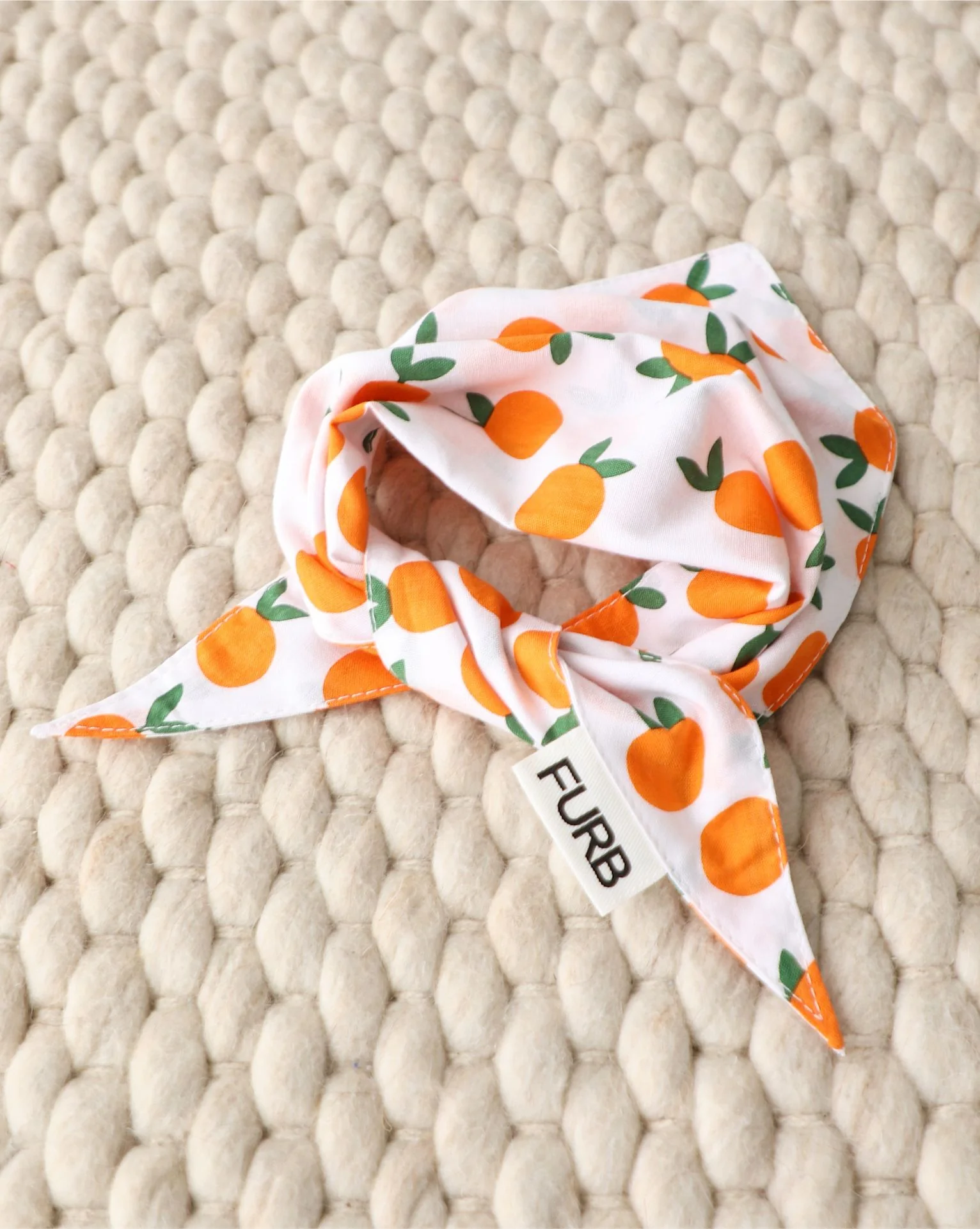 Main Squeeze Pup Dog Bandana - Image 4