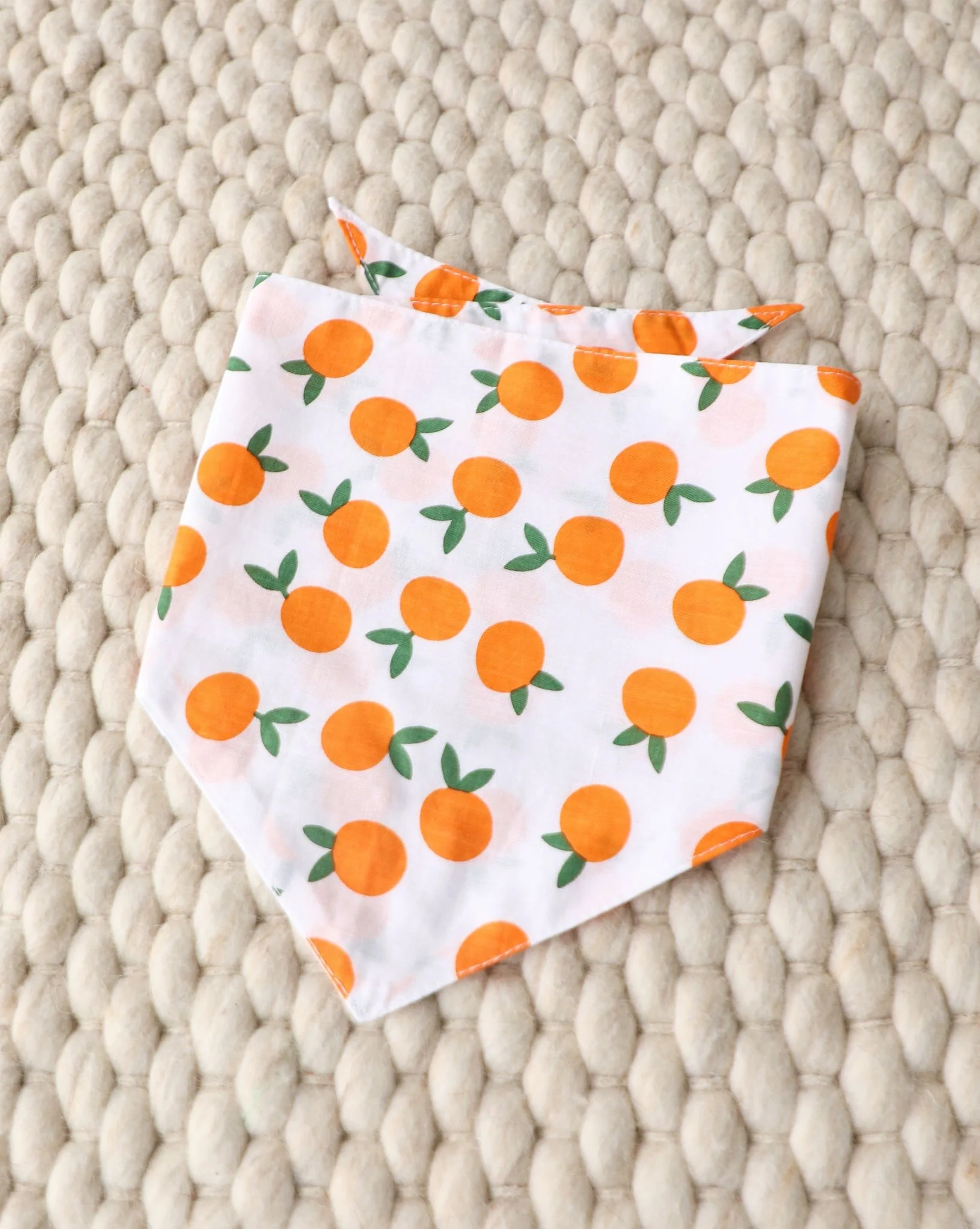 Main Squeeze Pup Dog Bandana - Image 5