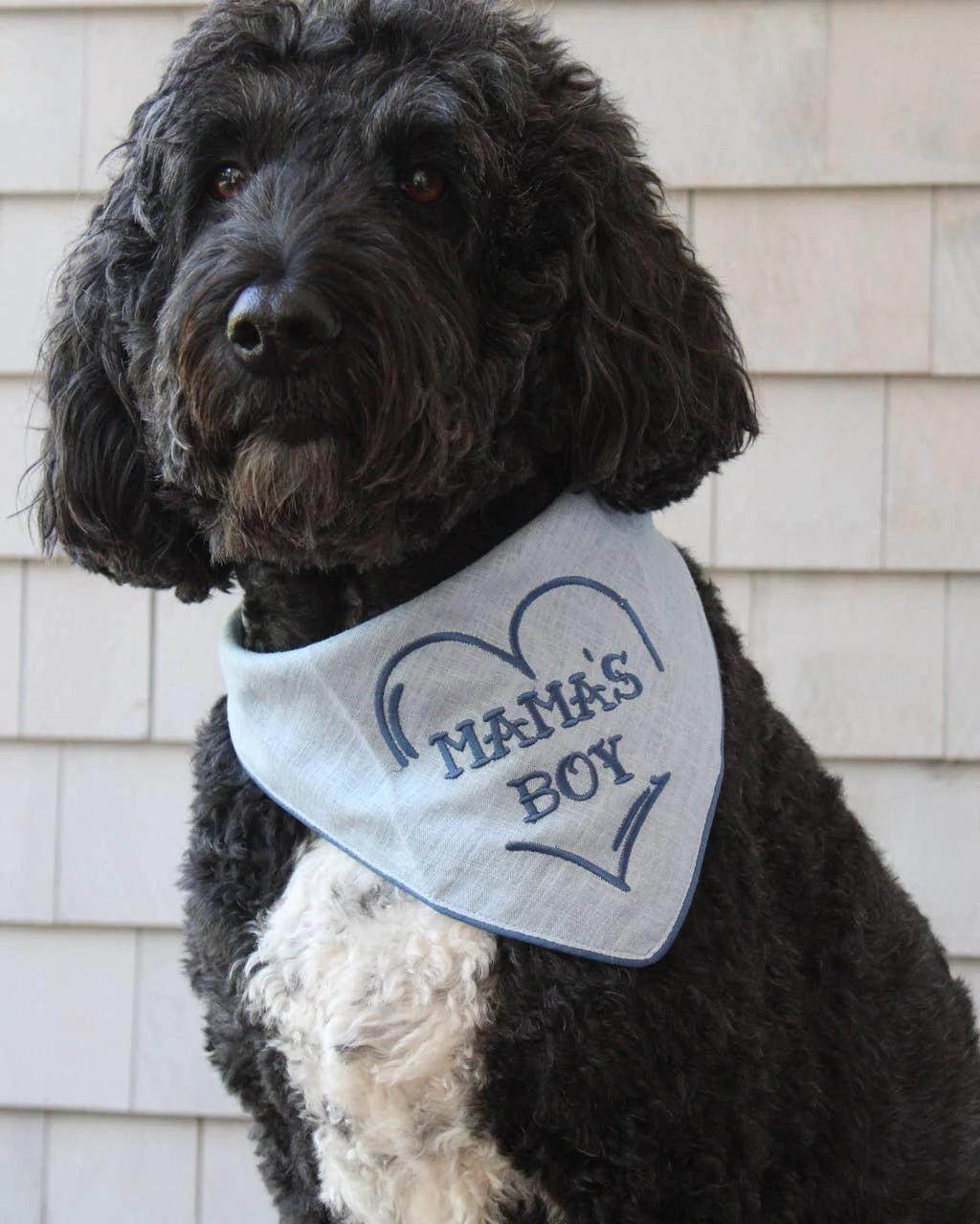 Mama's Boy Dog Bandana