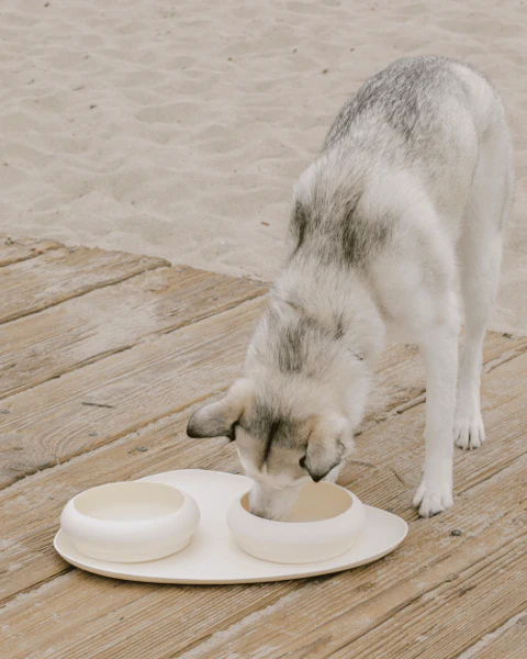 Dinner Is Served Bubble Bowl + Mat Set, Ivory - Image 2