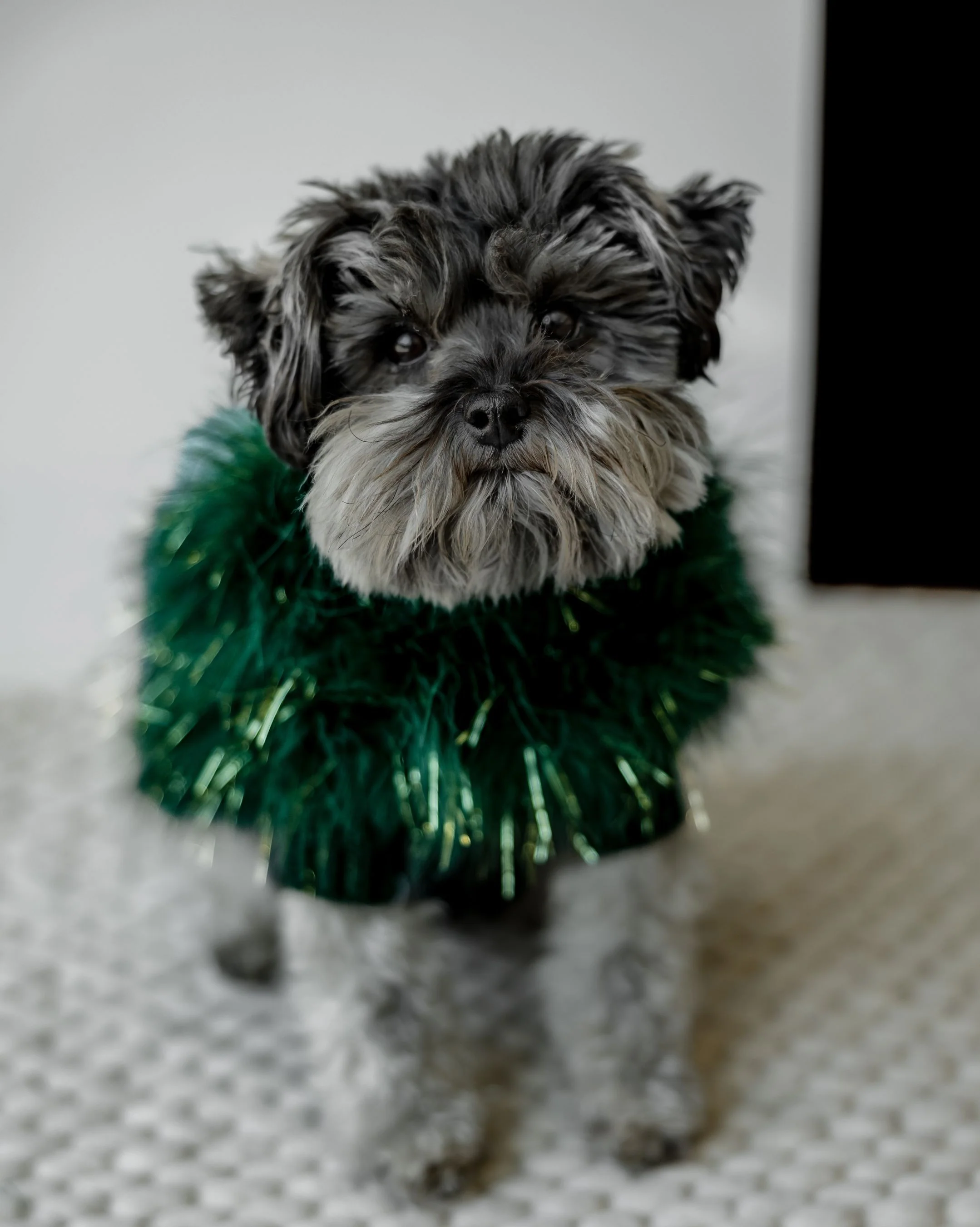 Christian Cowan Glitz Jumper - Image 8