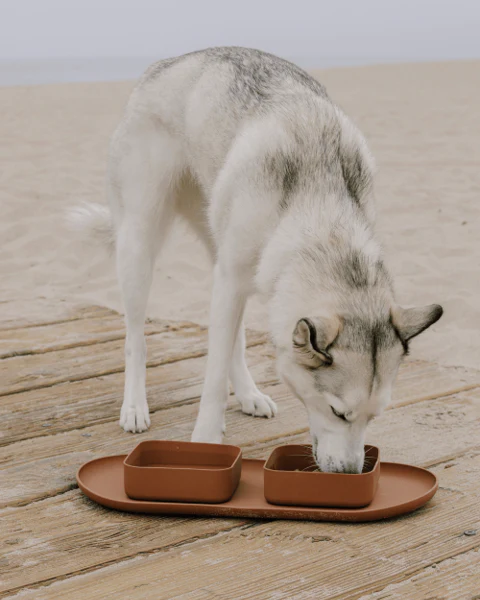 Hip To Be Square Dog Bowl + Mat Set, Brown - Image 2