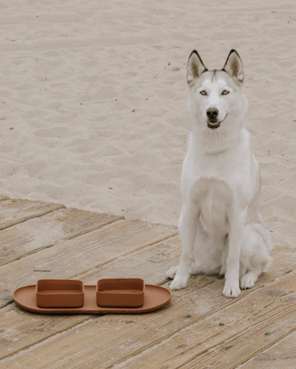 Hip To Be Square Dog Bowl + Mat Set, Brown - Image 4