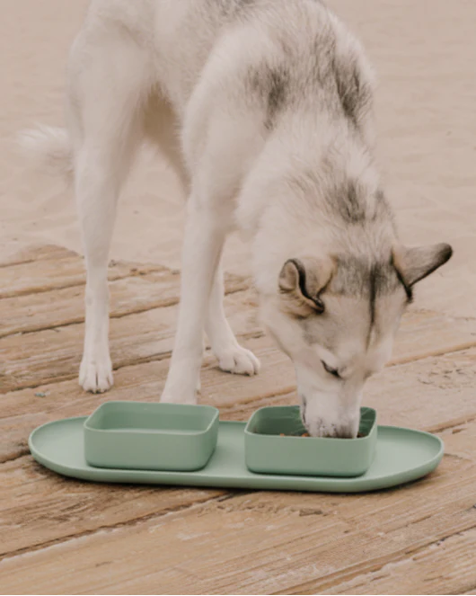 Hip To Be Square Dog Bowl + Mat Set, Green - Image 3
