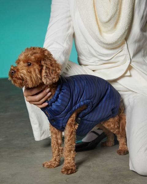 maxbone Striped Easy Fit Jacket in Blue - Image 3