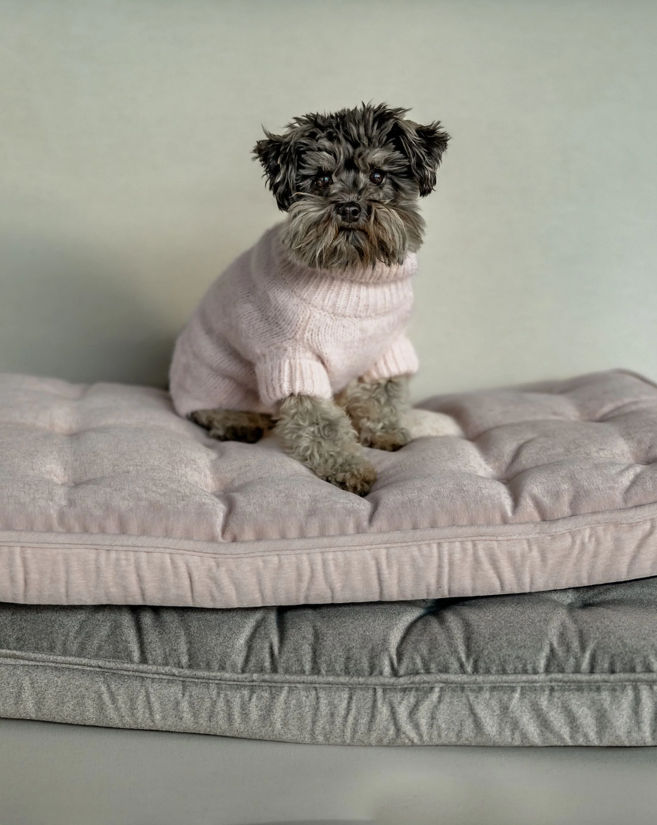 Maxbone Unwind Dog Crate Mat in Grey - Image 4